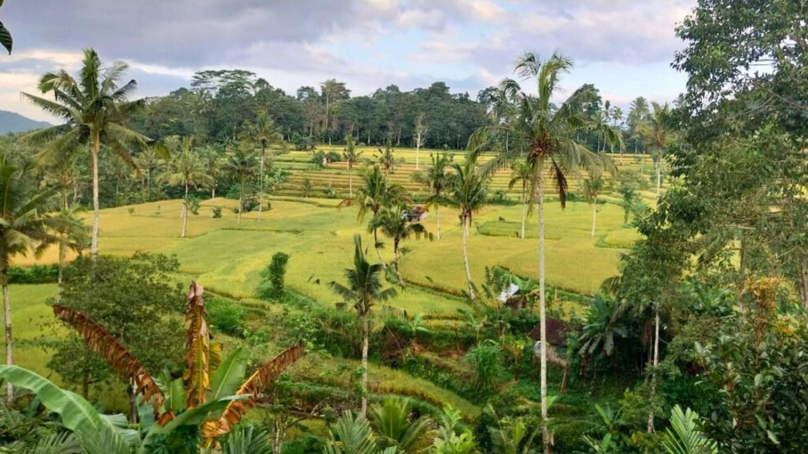 Pondok Sapta Sallaca 셀랏 외부 사진